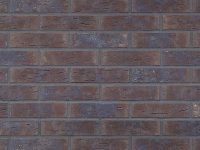 KING KLINKER (HF26) - Chocolate tree