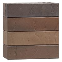 Эльтон флэш